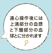 遠心操作により、上清部分の血清と下層部分の血餅とに分かれます 