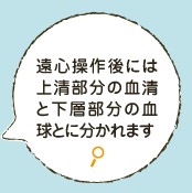 遠心操作により、上清部分の血清と下層部分の血餅とに分かれます 