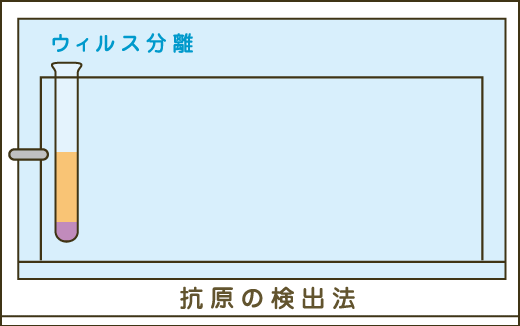 抗原の検出法