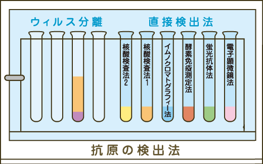 抗原の検出法