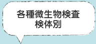 各種微生物検査　検体別